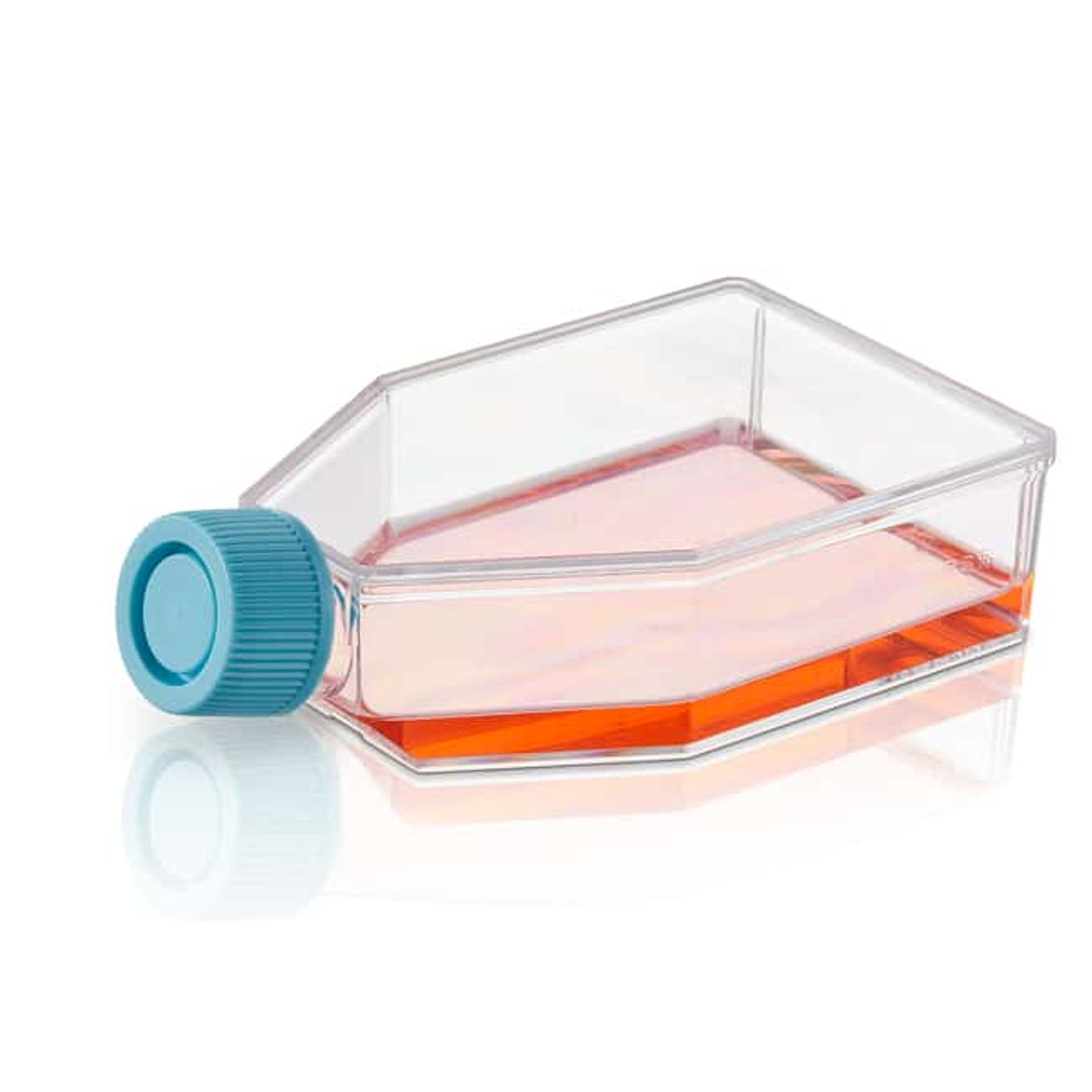 25,0 cm² Cell culture flasks,TC-treated,Vented filter cap,sterile 200/Case (734-2311) VWR