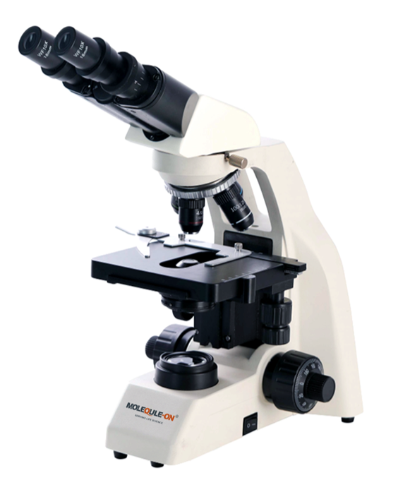 Biological Microscope